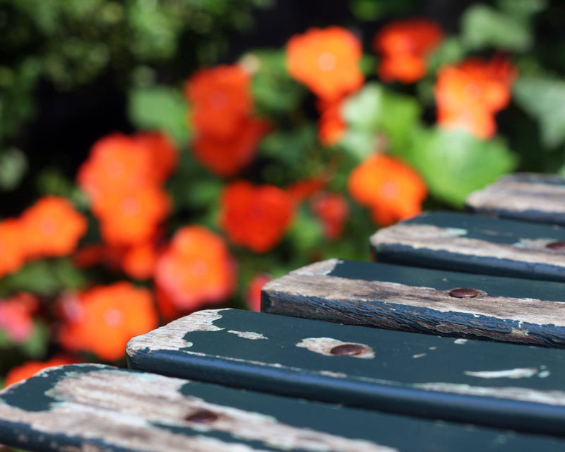 Vintage Bryant Park Chair