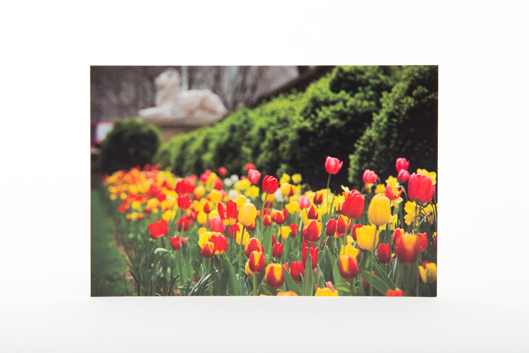 Seasons of Bryant Park Postcards