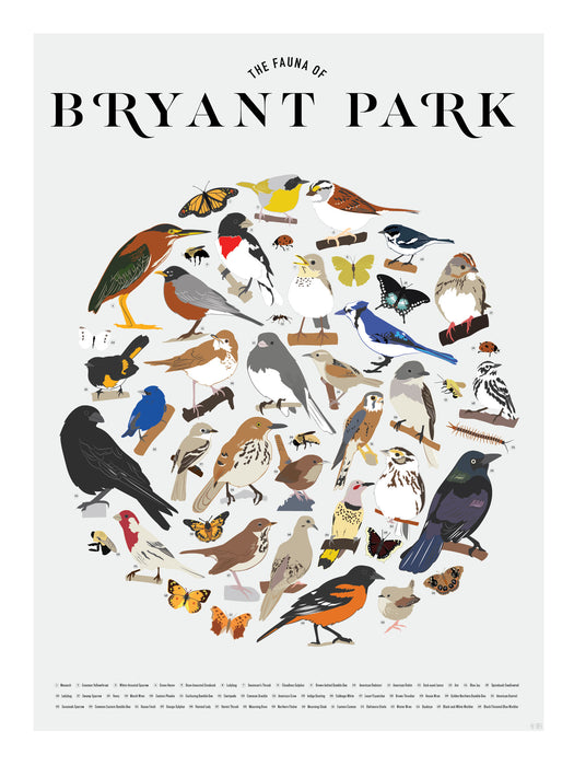 Fauna of Bryant Park Poster
